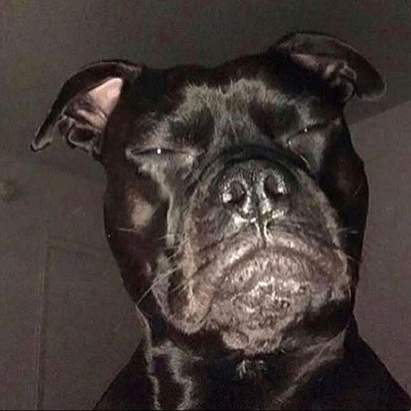 Meet your Posher, Joe - Picture 1 of 1